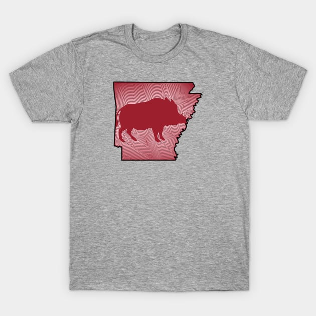 Radiating Hog T-Shirt by rt-shirts